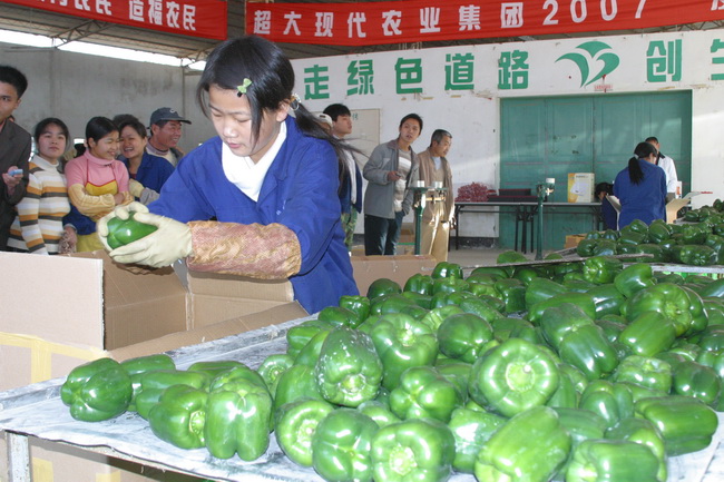 圖片關鍵詞
